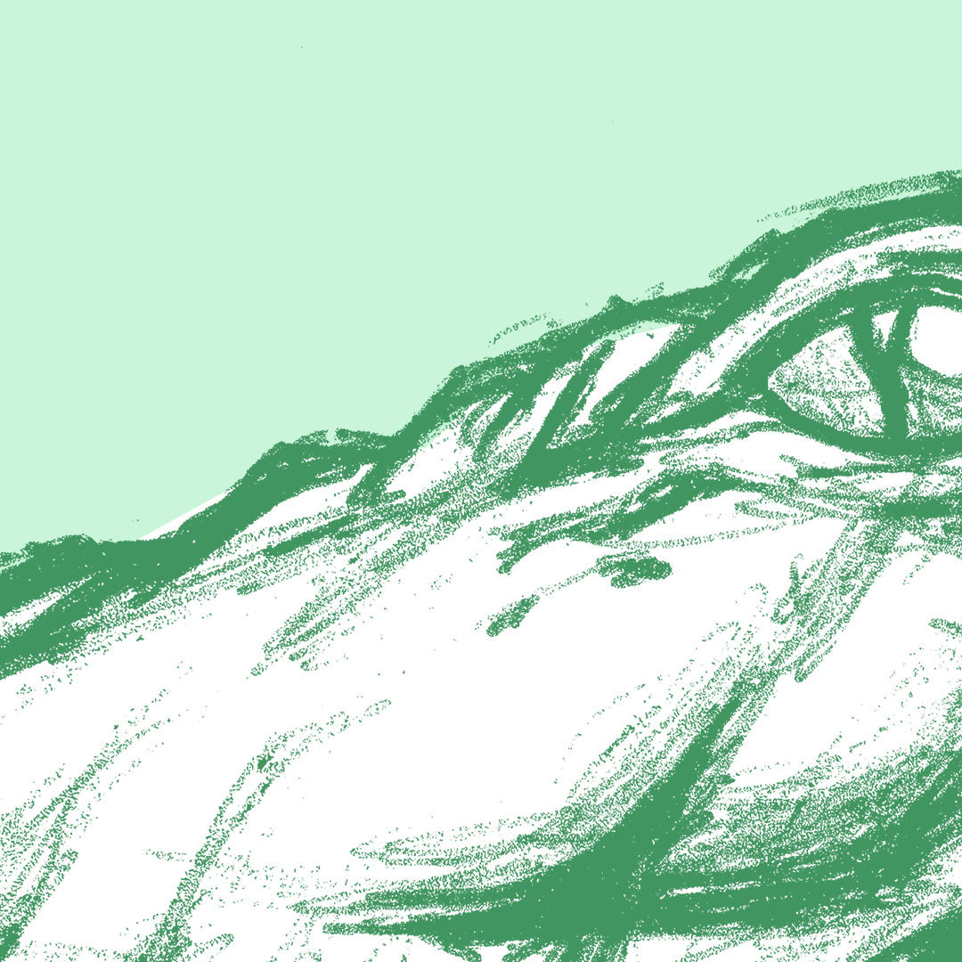 Green Crocodile