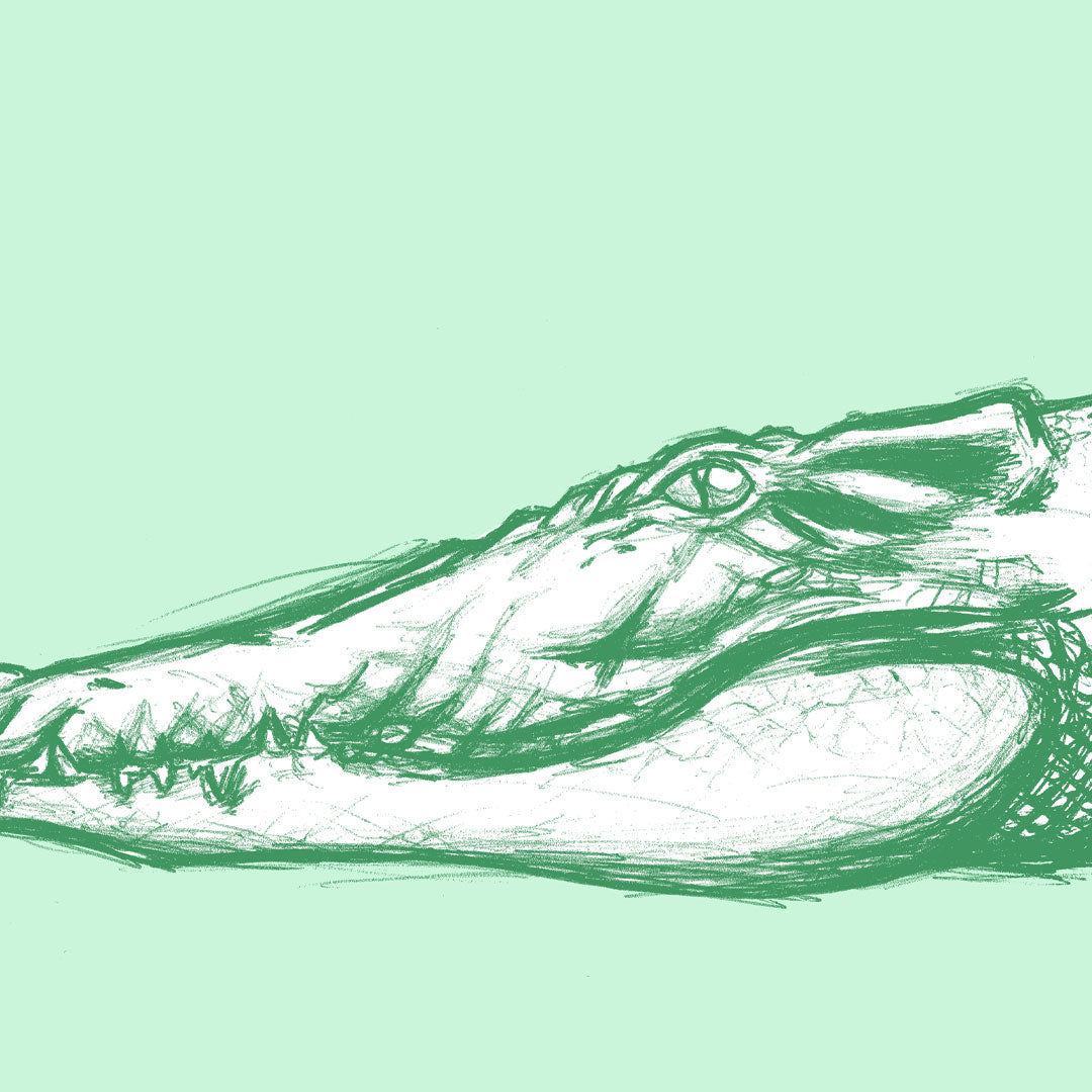 Green Crocodile