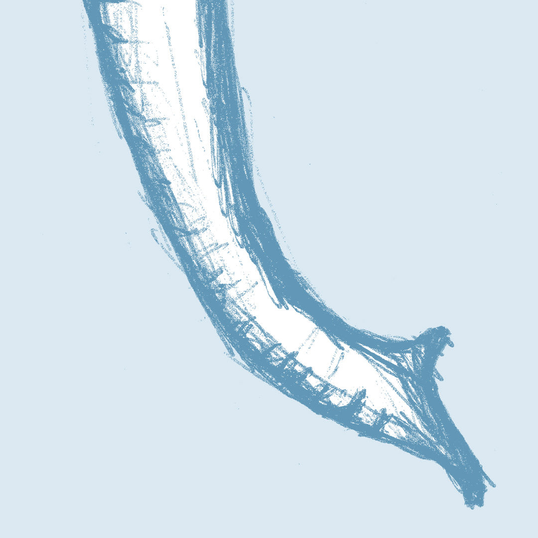 Blue Elephant