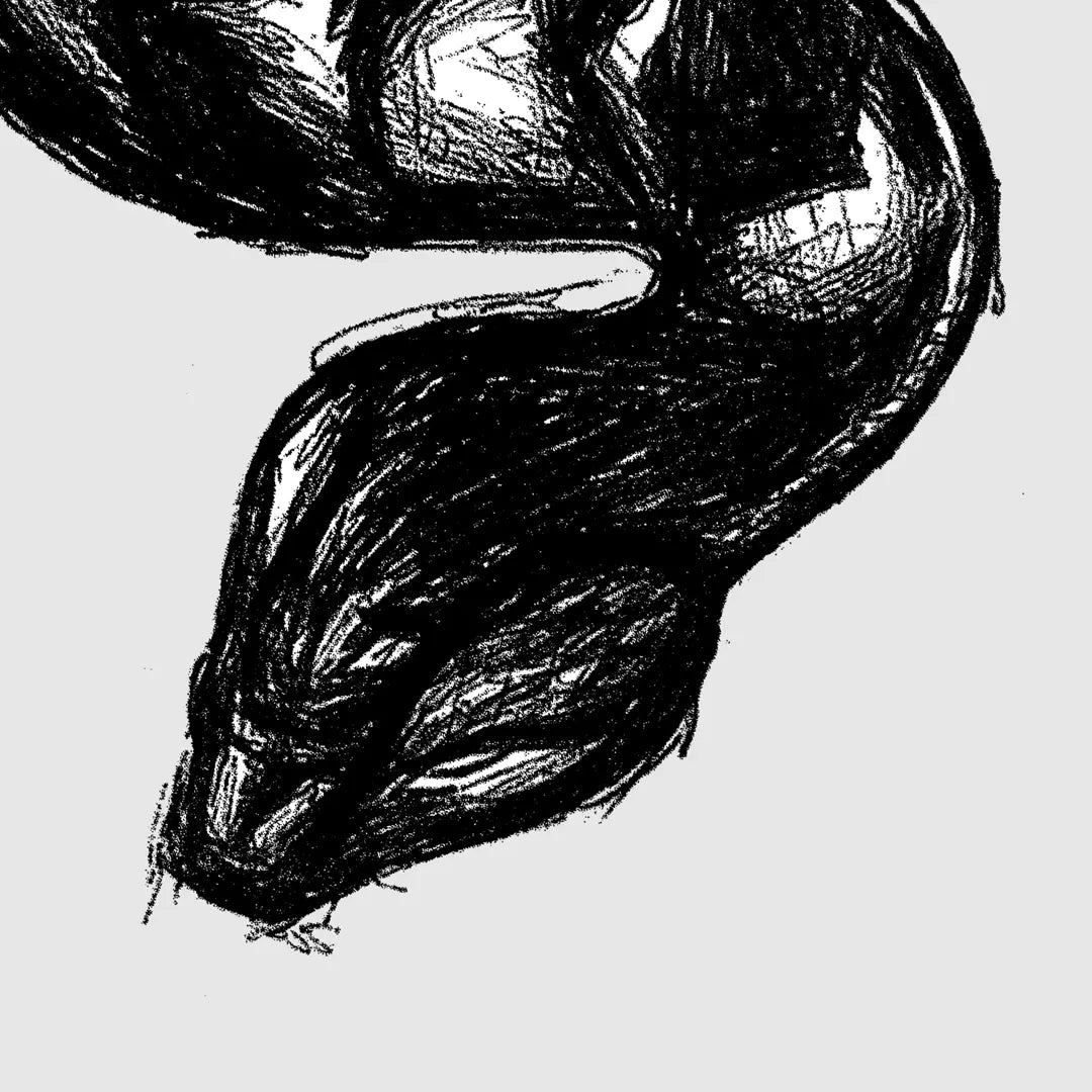 Black Snake