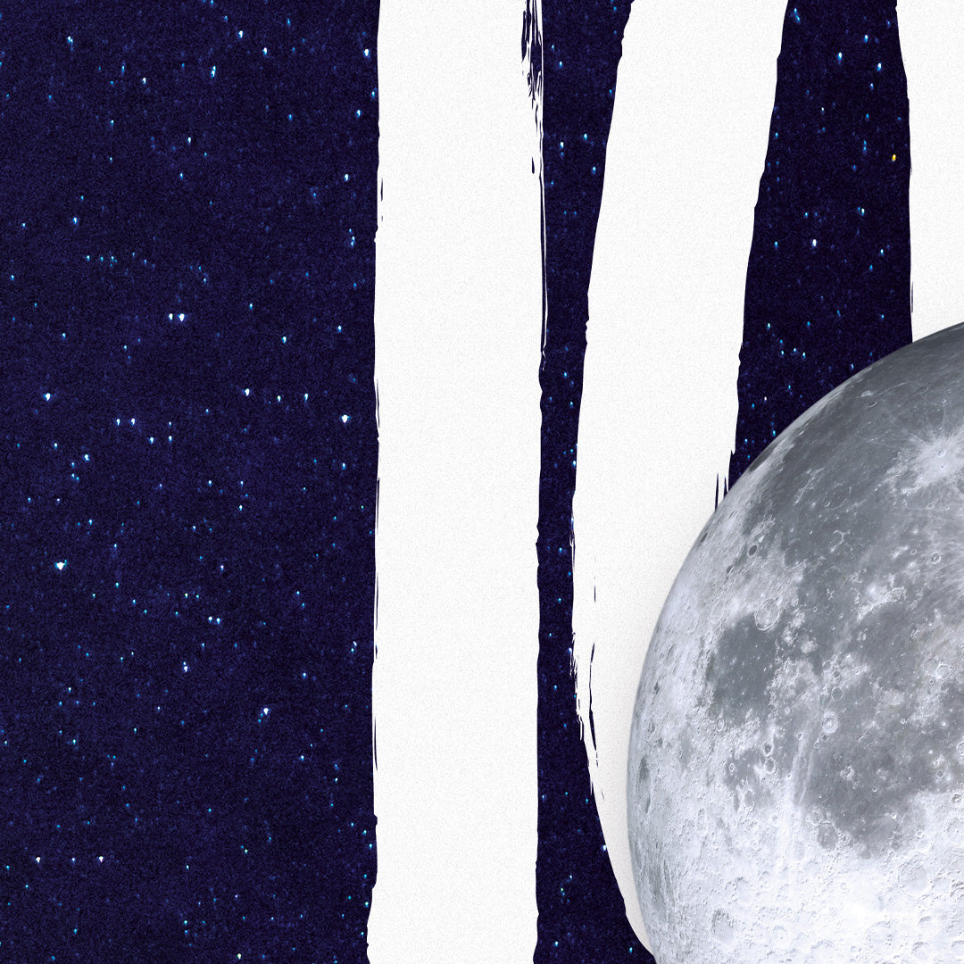 Fly Me To The Moon