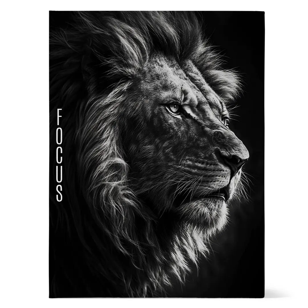 Focus