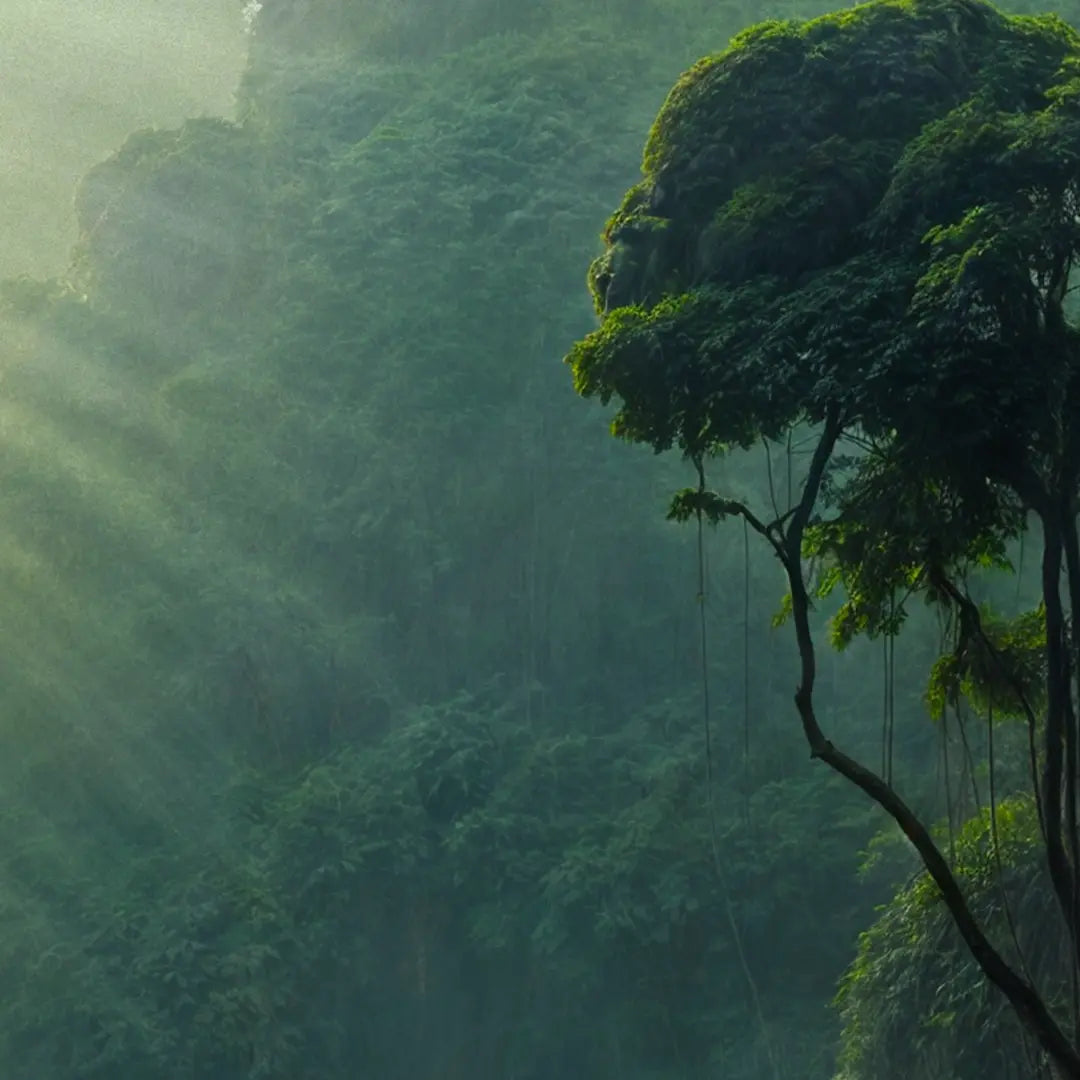 Nature Reflects The Soul