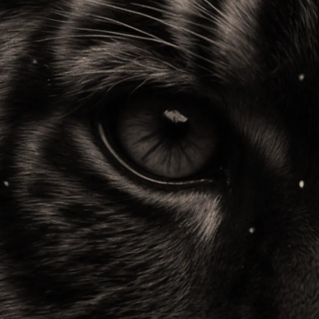 Dream Big "Tiger"