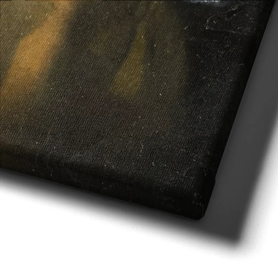Air Vermeer