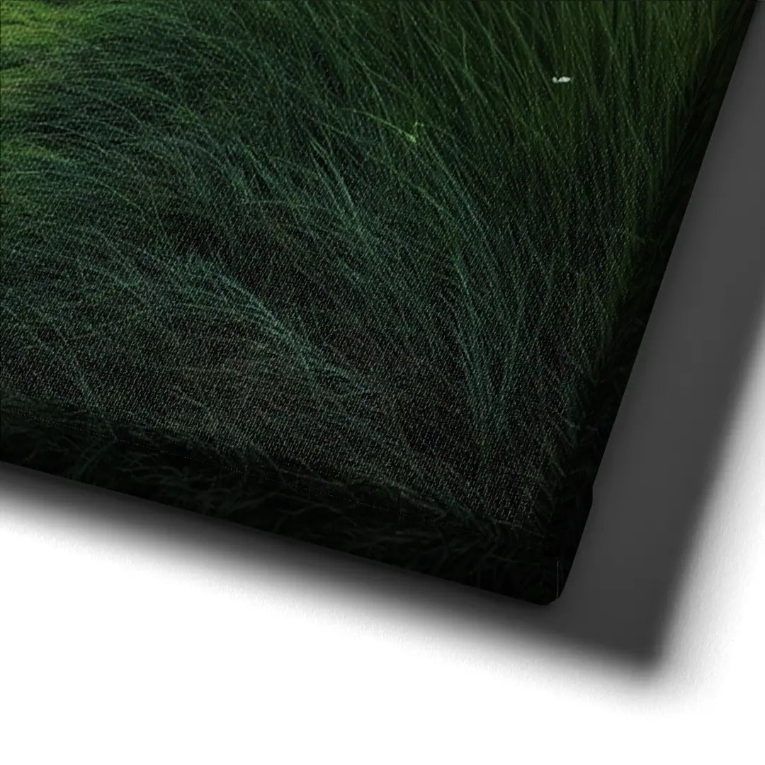 Green Landscpae