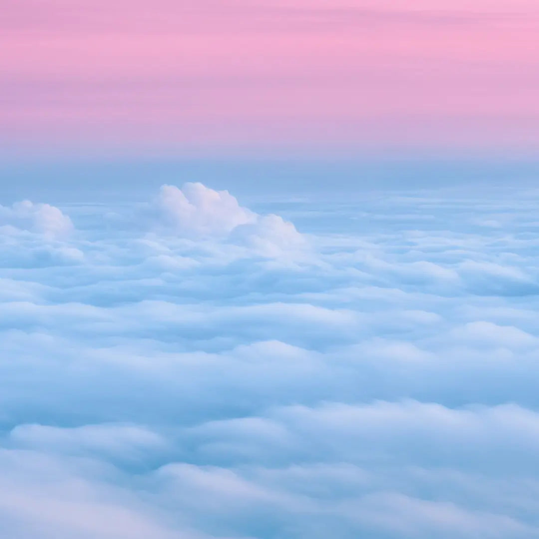 Purple Heaven