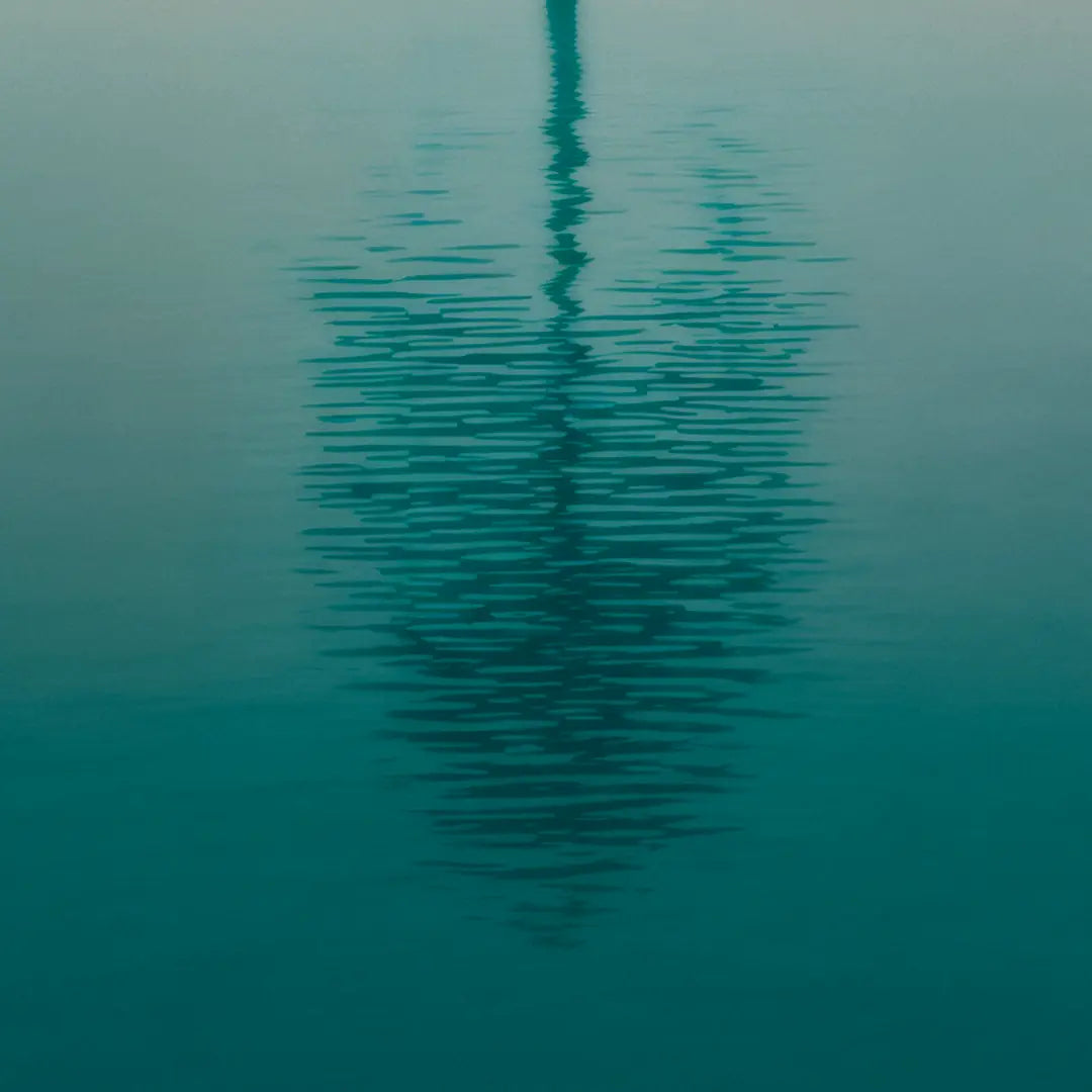 Lonely Palm Tree