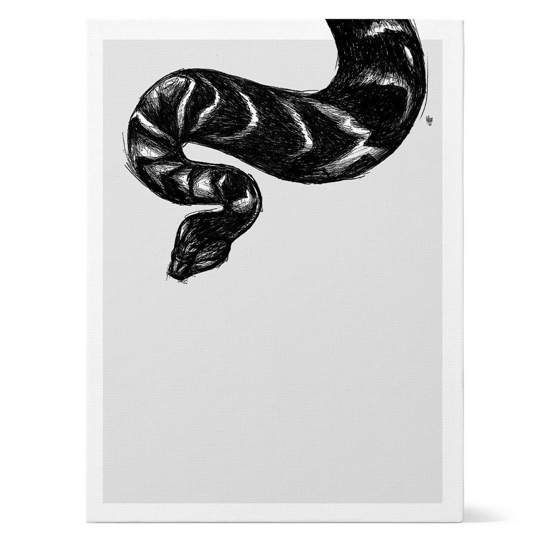 Black Snake