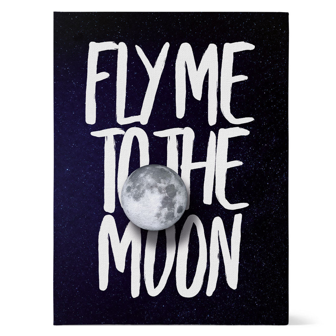 Fly Me To The Moon