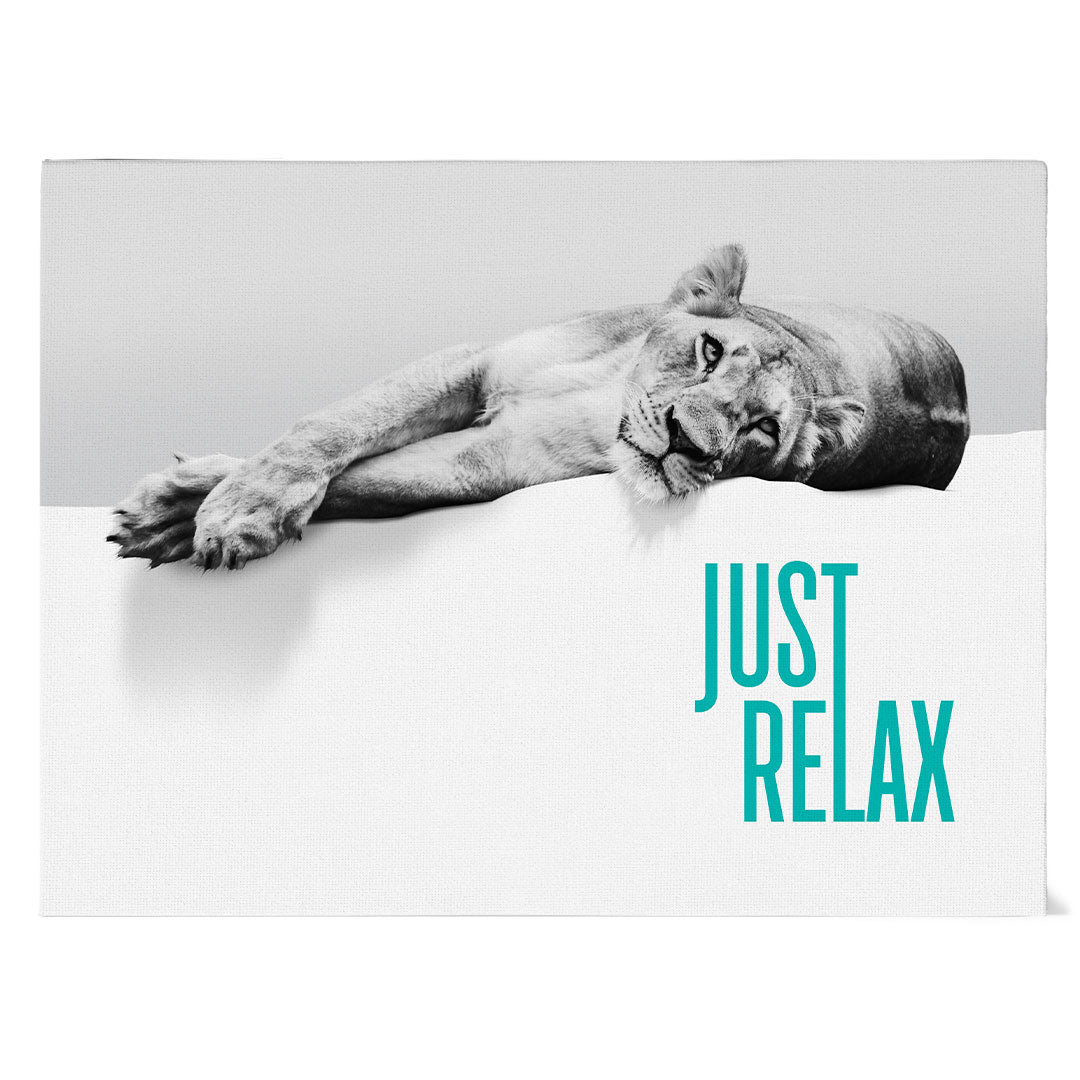 Just Relax - Relax wie ein Löwe