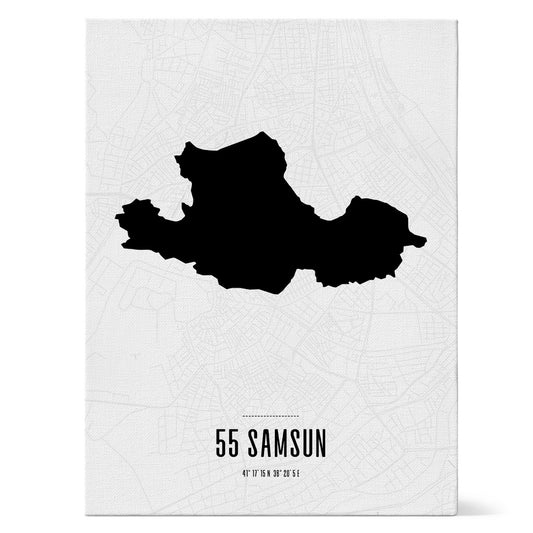 55 Samsun WHT