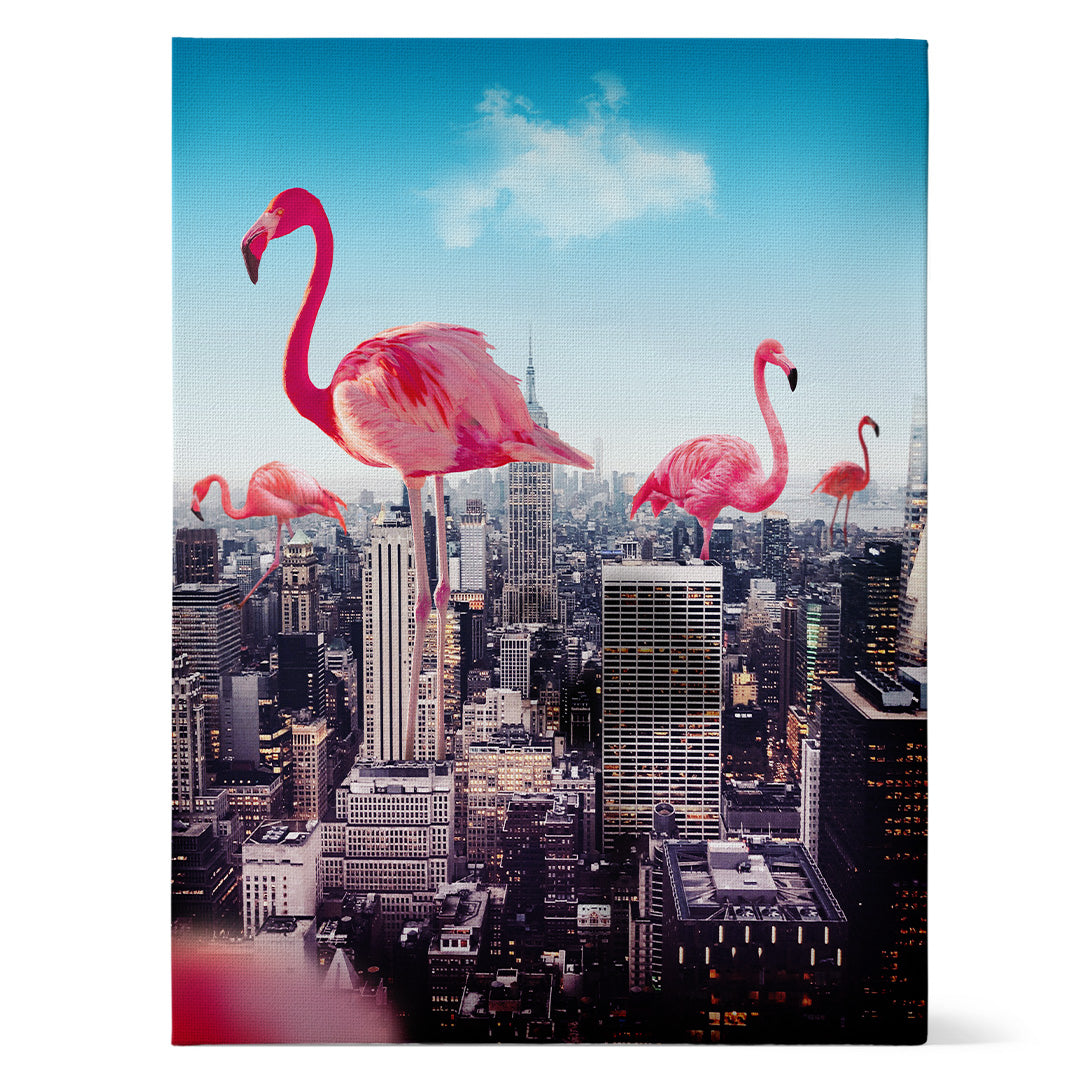 Giant Flamingos