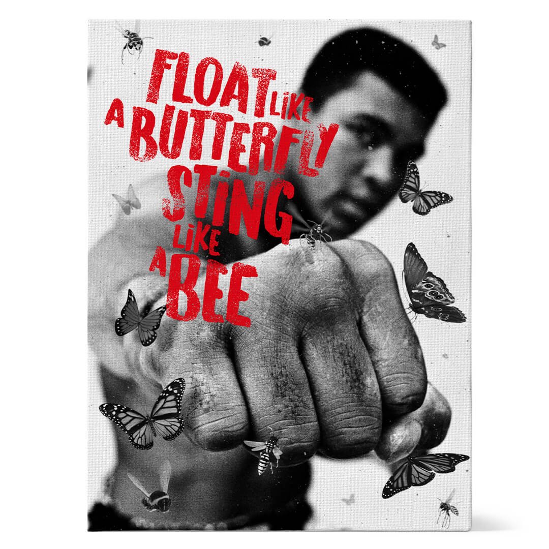 Butterflies & Bees