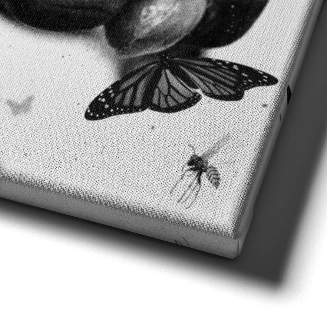 Butterflies & Bees