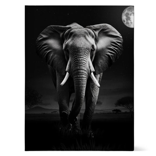 Elephant at Night