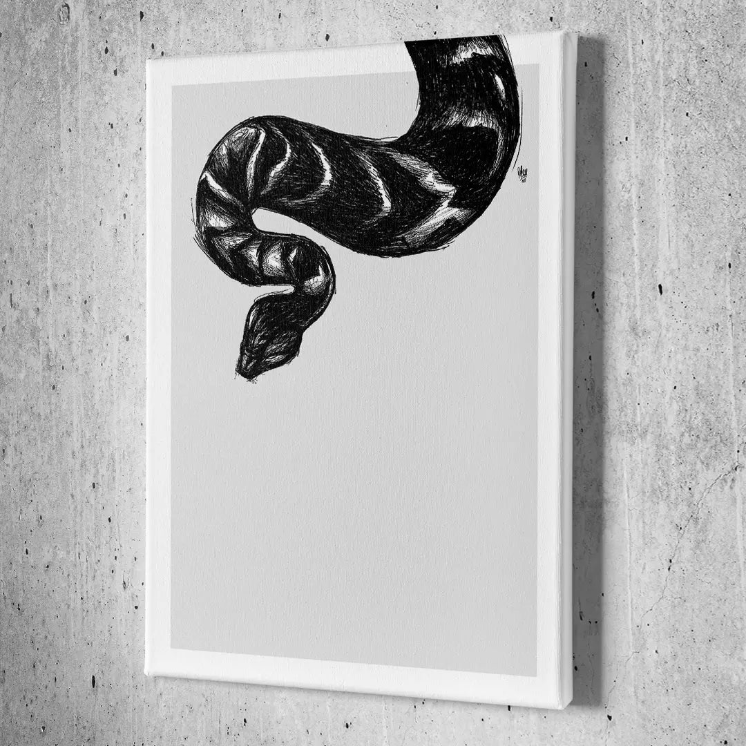 Black Snake