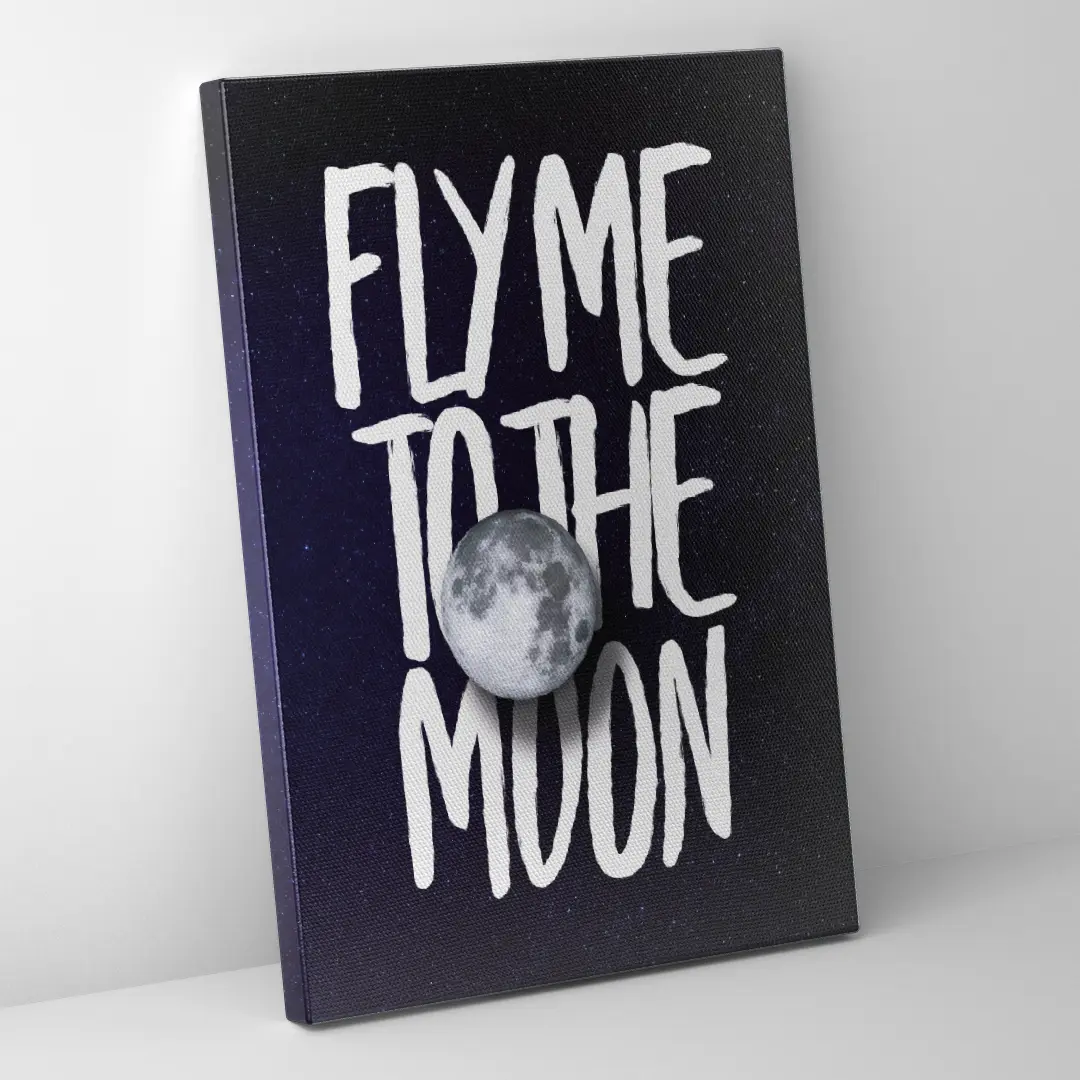 Fly Me To The Moon