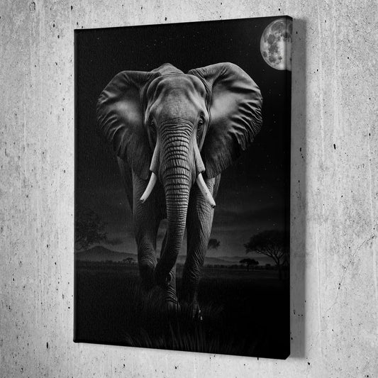 Elephant at Night