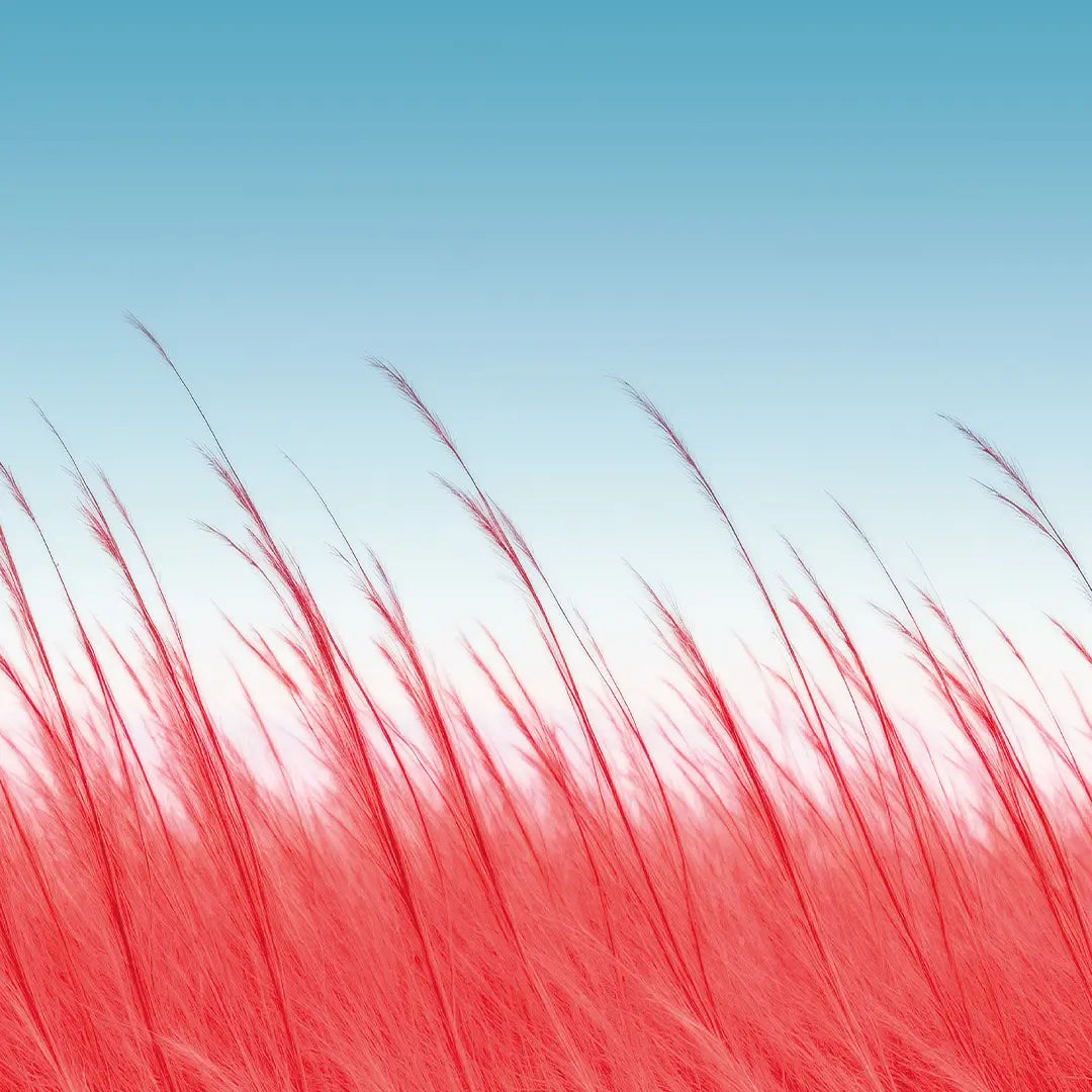 Grass Blades