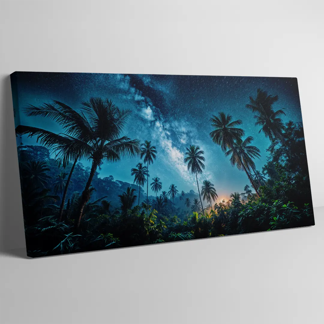 Tropical Night Sky