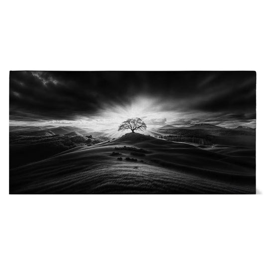 Lonely Tree in the Sunlight