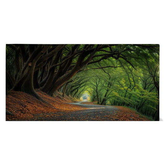 Panorama-Leinwand mit ruhigem Waldweg, grünen Bäumen und natürlicher Lichtstimmung, hochwertige Natur-Wandkunst auf Canvas